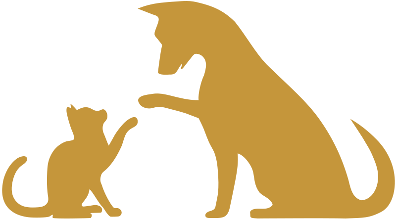 Pet Boarding Services